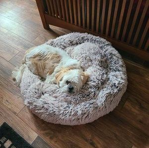 Meet your Posher, Ruth